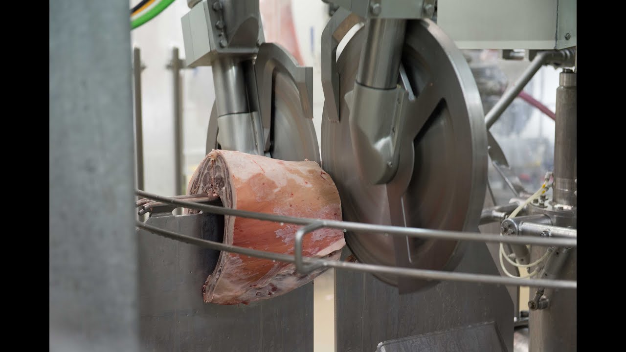 Transforming the Australian Red Meat Industry