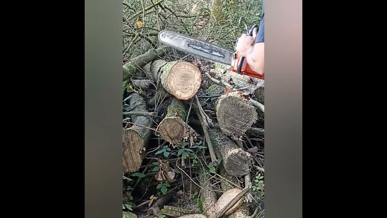 Husqvarna 61 vs Stihl 034 Super