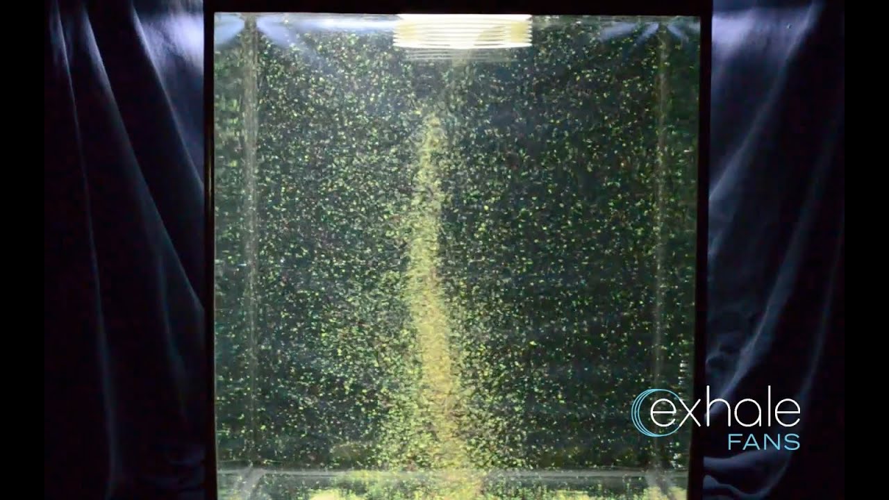 Exhale Bladeless Ceiling Fan—Vortex Flow Demonstration