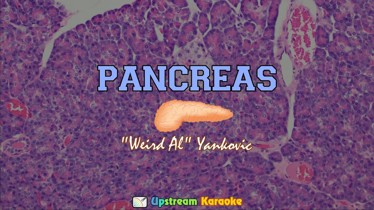 Weird Al Yankovic - Pancreas - Karaoke version