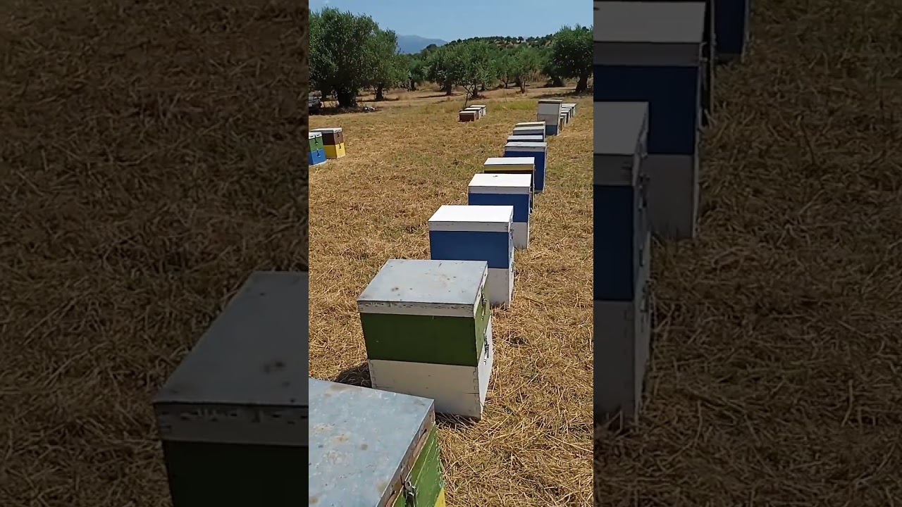 Μελίσσια, καλοκαίρι 2024
