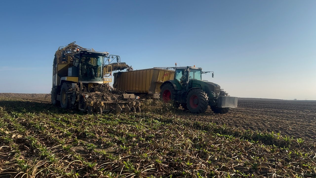 Buraki 2025 firma RAK ROL*fendt*ropa tiger 6*