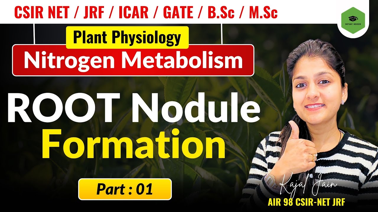 Nitrogen Metabolism | Nitrogen Cycle | Root Nodule Formation | CSIR-NET JRF | GATE ||