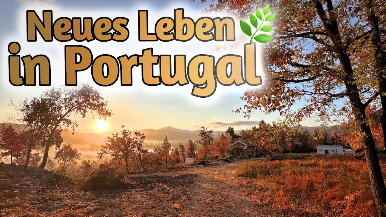 Neues Leben! Die Natur erwacht nach dem Waldbrand auf meinem Natur-Grundstück in Portugal