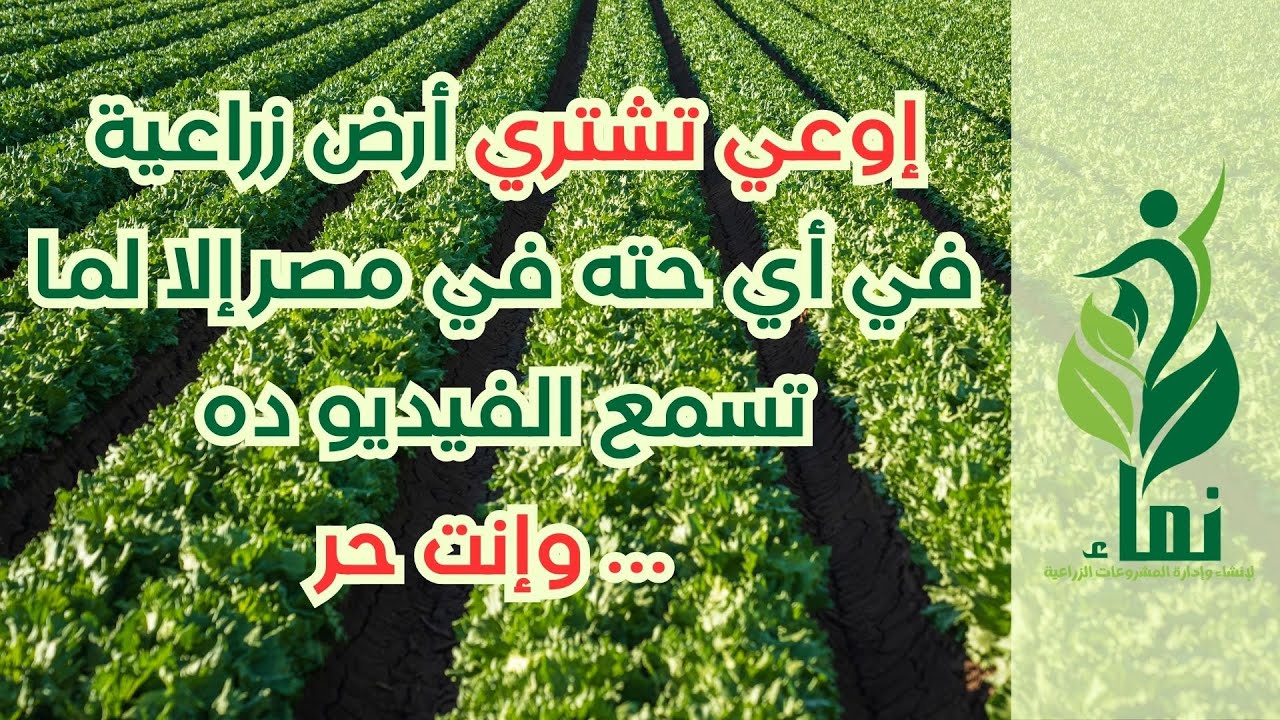 إوعي تشتري أرض زراعية في أي حته في مصر إلا لما تسمع الفيديو ده ... وانت حر