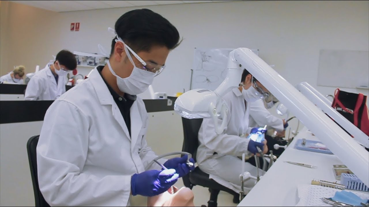 A day in the life of a Dentistry student