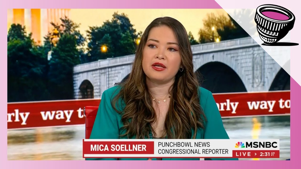 Mica Soellner on MSNBC: GOP divisions on government funding