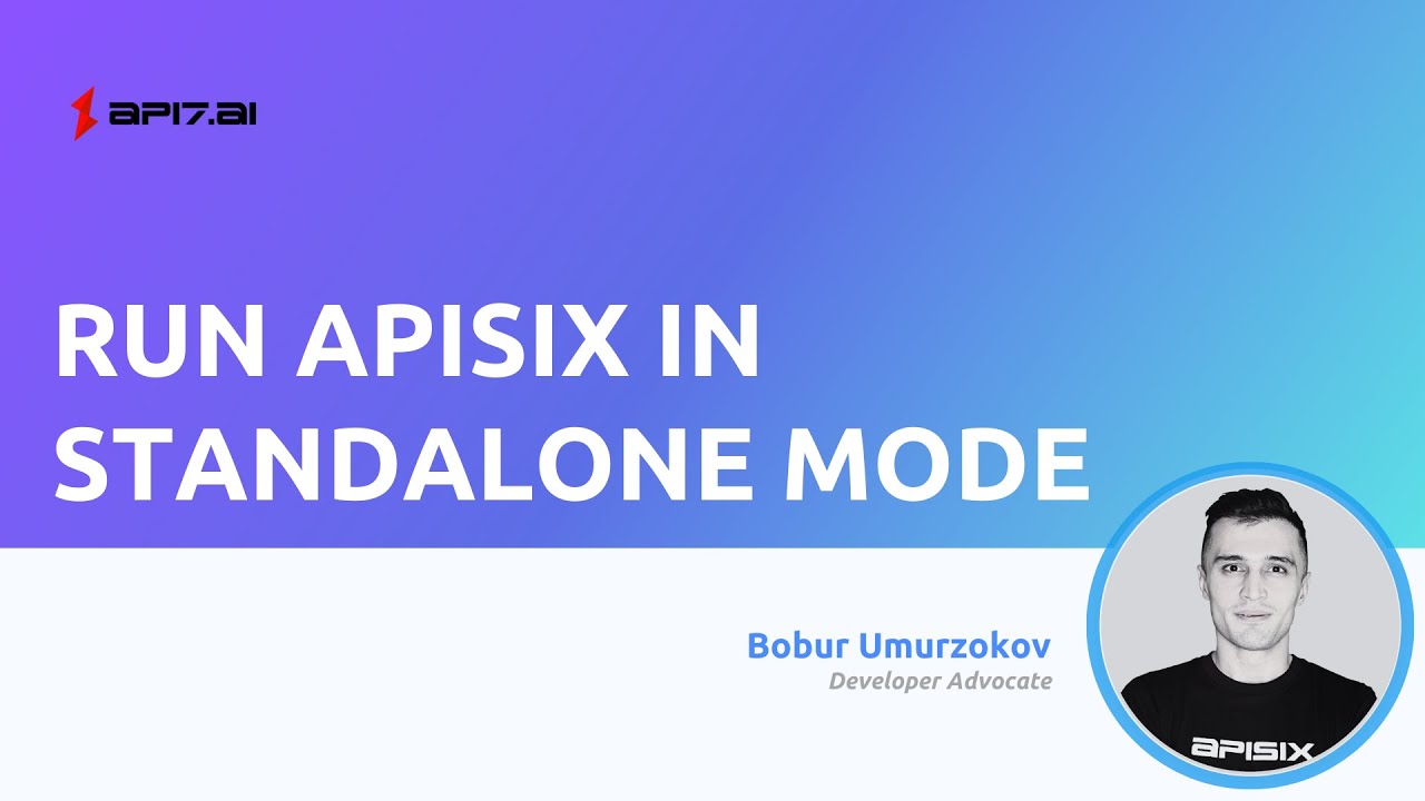 Run APISIX in standalone mode