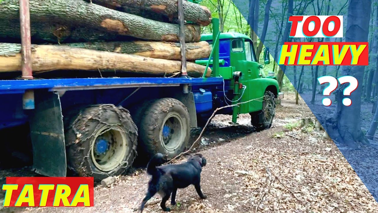 Log Loading and Driving | TATRA 148 | Práca v lese