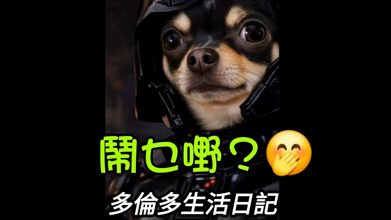 今日鬧真啲#多倫多#加拿大 