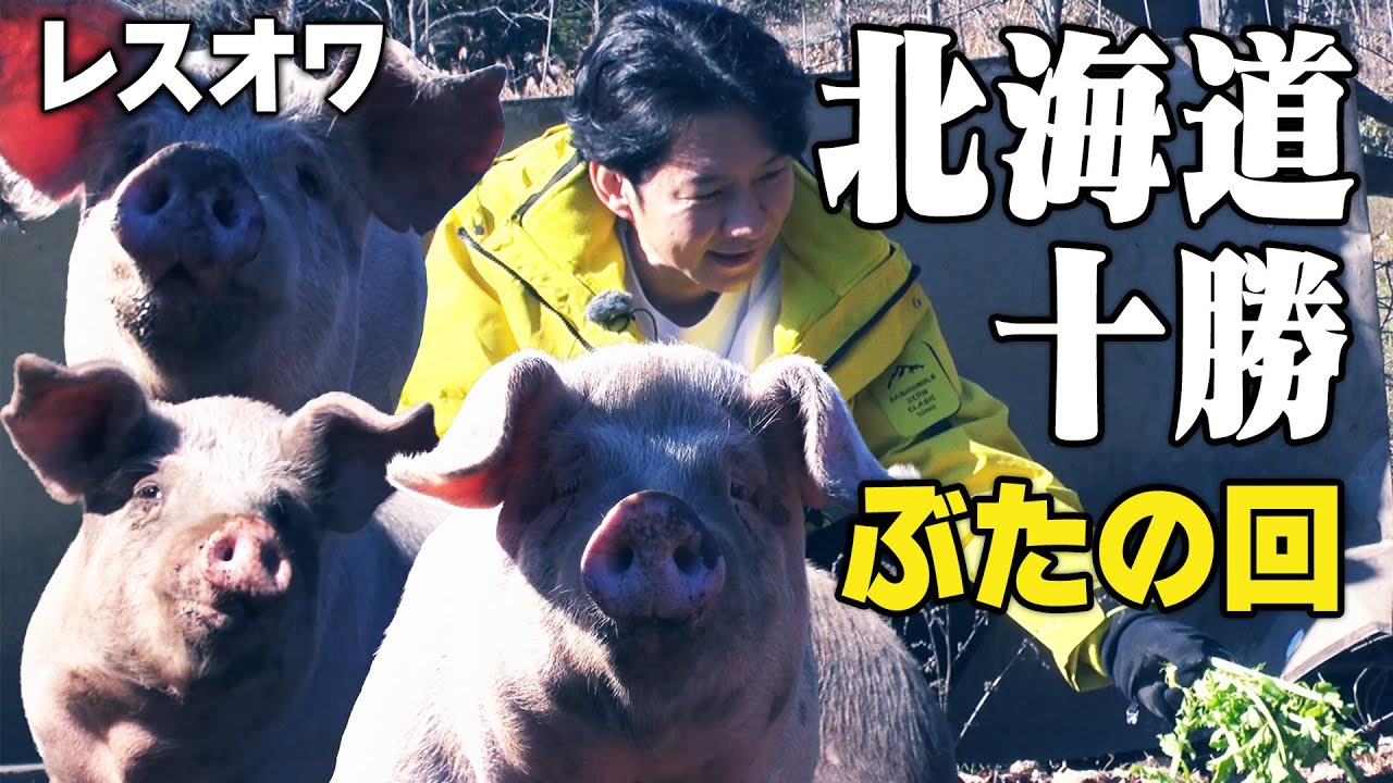 【北海道ロケ】今回の食材は豚！日本ではわずか3％の飼育方法で育てられた「遊ぶた」は濃厚で甘みたっぷりの脂が特徴。遊ぶたの〇〇は極上の味！（２週間限定公開）