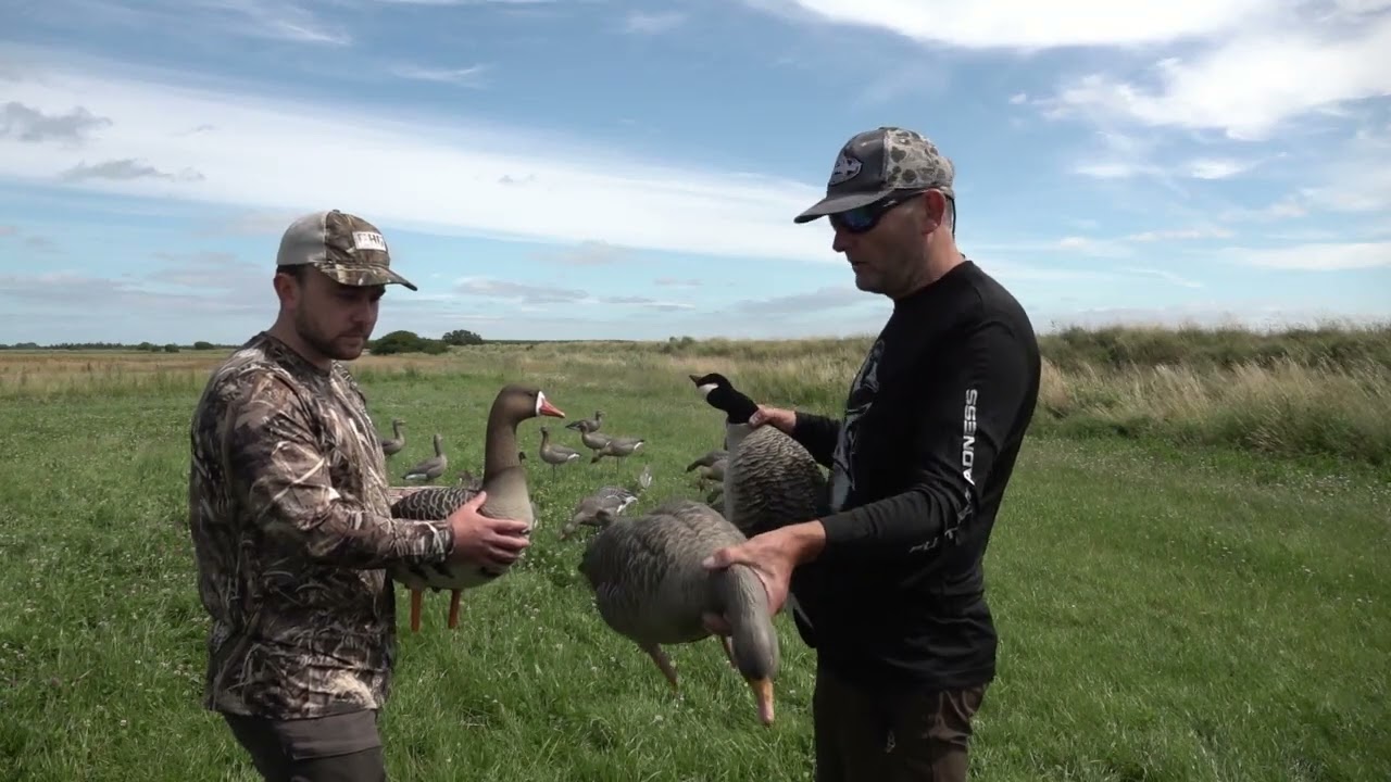 Forklaring af Full body lokkegæs - 