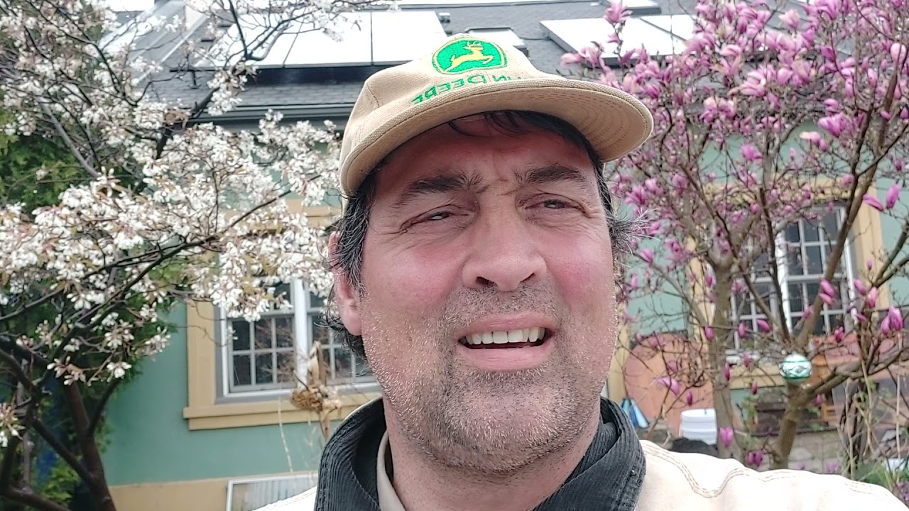 Be a Forest on Mother's Day in Hamilton
