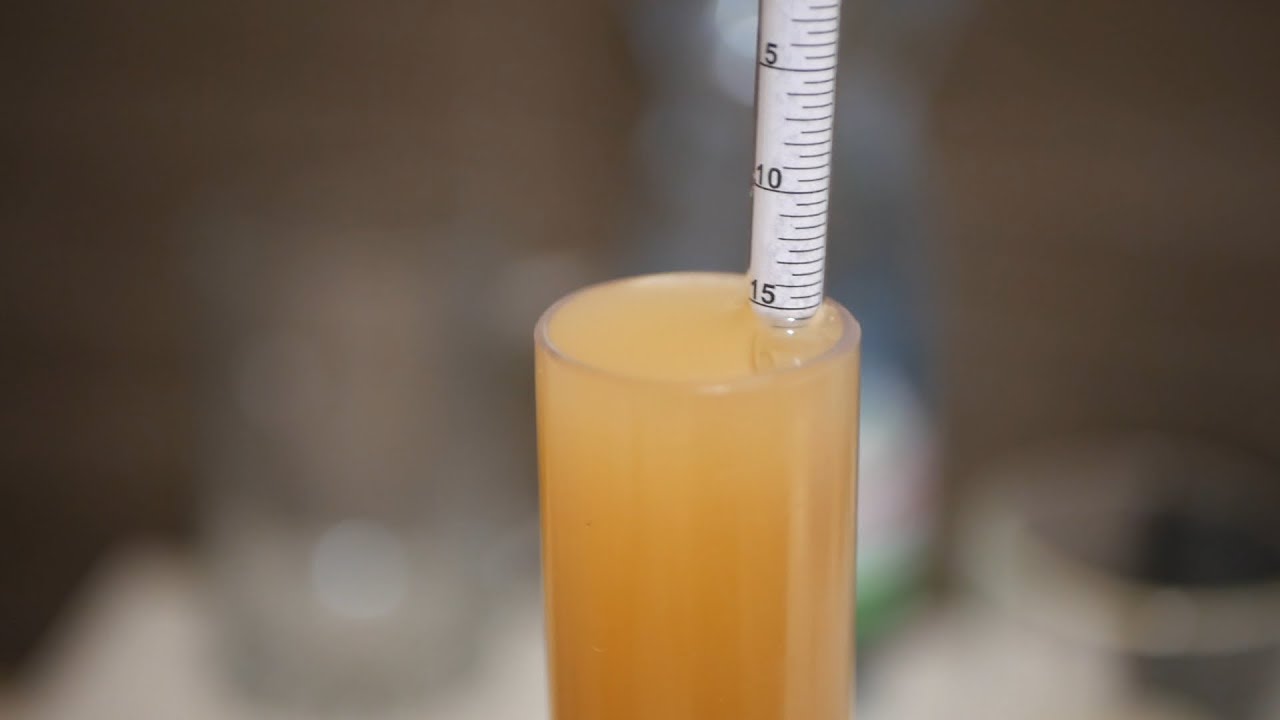 Warzenie piwa w stylu WHITE IPA * drożdże, chmielenie, zasyp