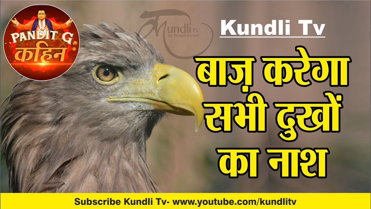 बाज़ करेगा सभी दुखों का नाश I 5TH EPISODE I Pandit G kahin I Kundli Tv