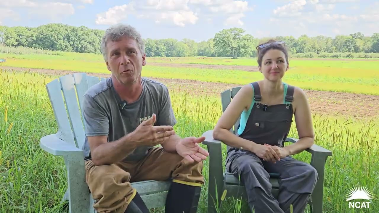 From Farm to Market: The Organic Advantage