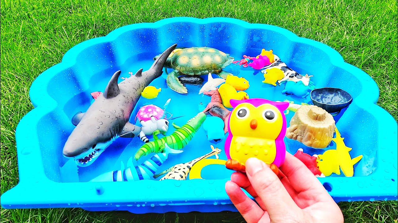 Learn animal names & facts for babies, toddlers, kids