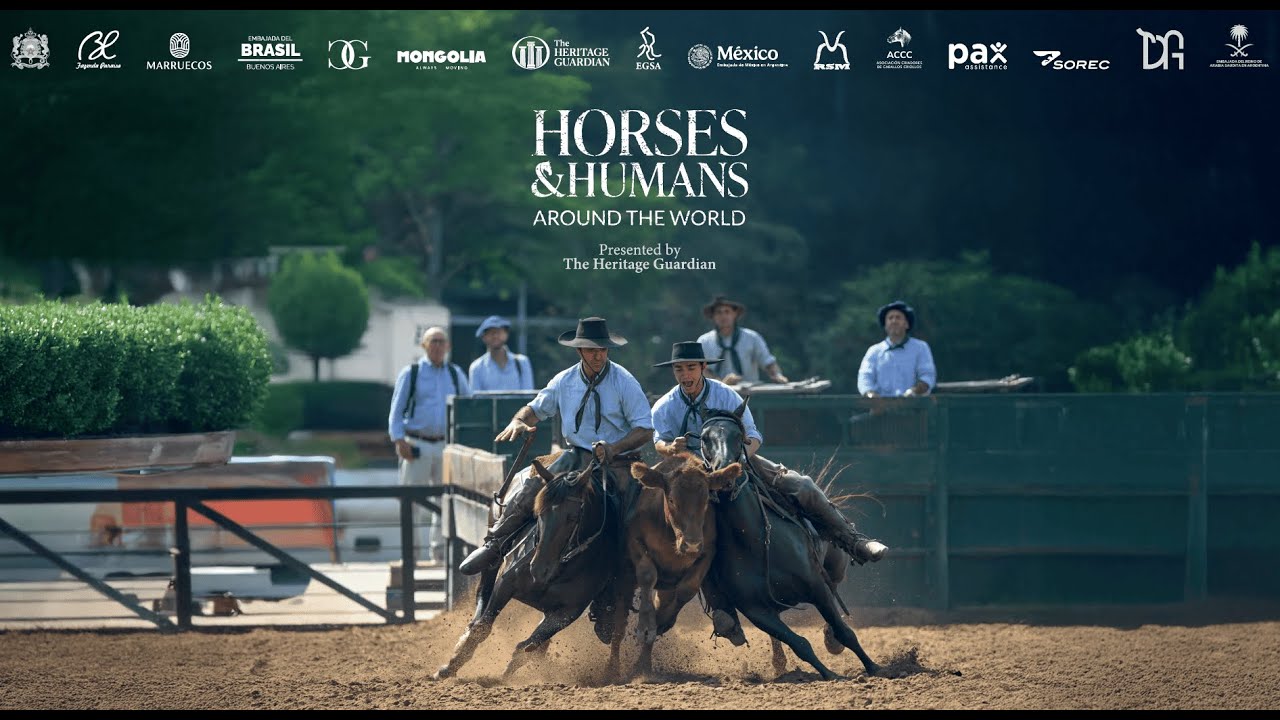 HORSES & HUMANS