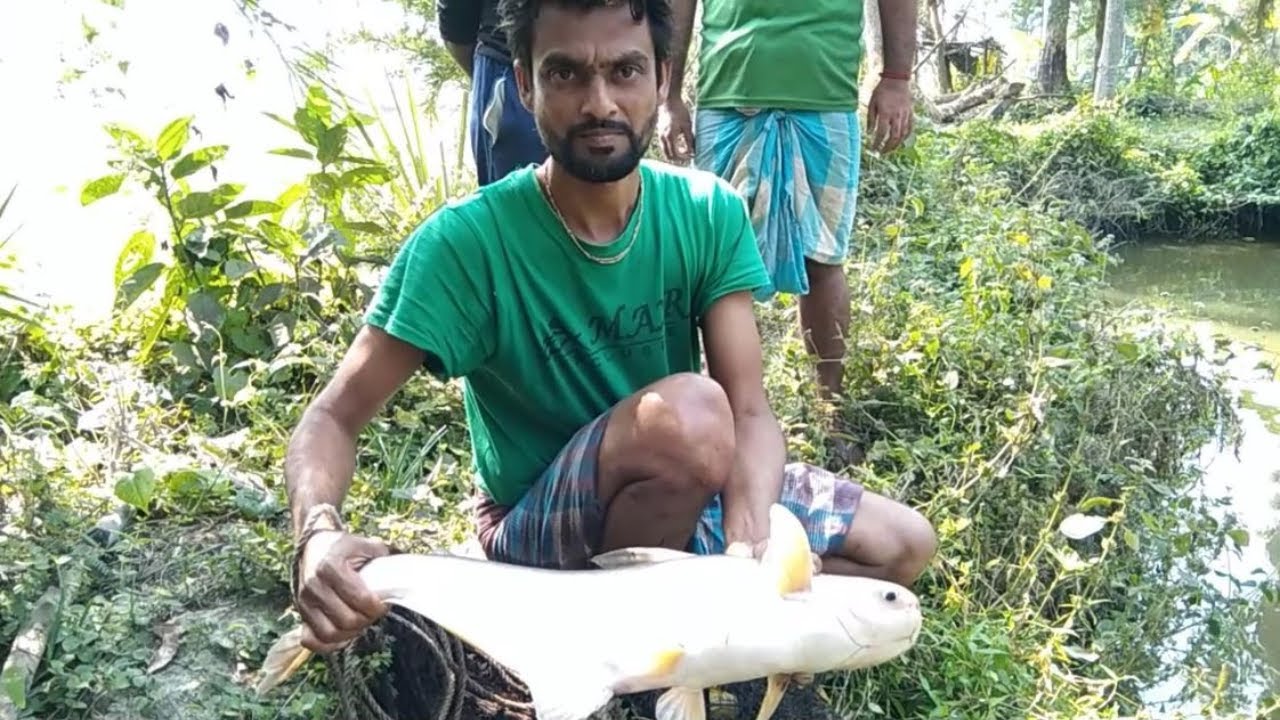Most Popular Net Fishing Video | Amazing Big Fish Fishing Videos With Net 