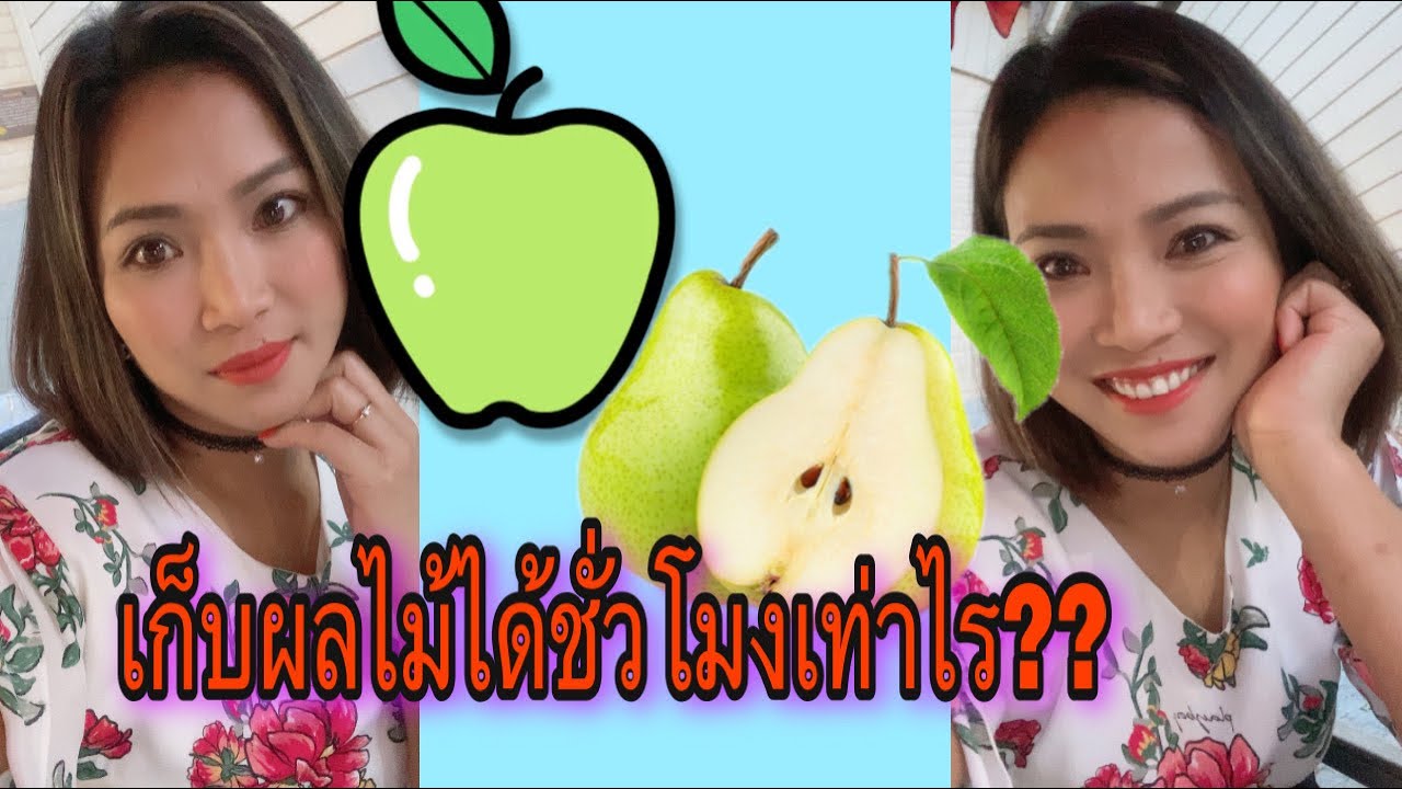 ทำงานเก็บผลไม้ที่เบลเยี่ยม ชั่วโมงเท่าไร รายได้ดีไหม ???? #ชีวิตต่างแดน #เมียฝรั่ง