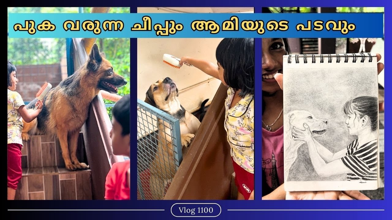 Dog Steam brush വാങ്ങി 💁‍♂️