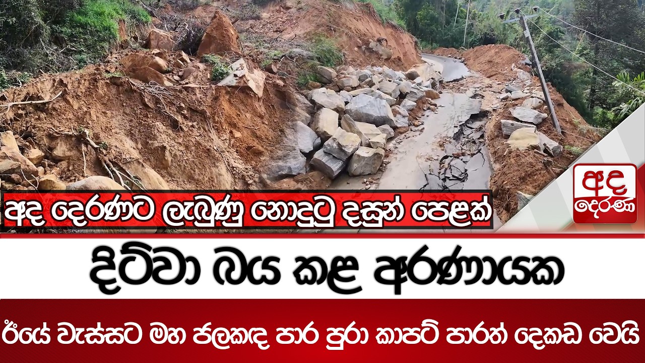 දිට්වා බය කළ අරණායක - ඊයේ වැස්සට මහ ජලකඳ පාර පුරා කාපට් පාරත් දෙකඩ වෙයි