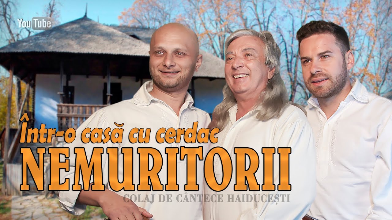 NEMURITORII . Intr-o casa cu cerdac [ COLAJ ]