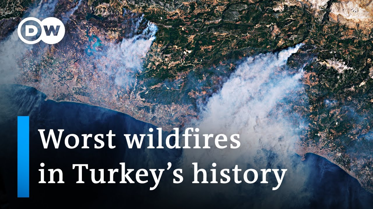 Turkish power plant overtaken by wildfires | DW News