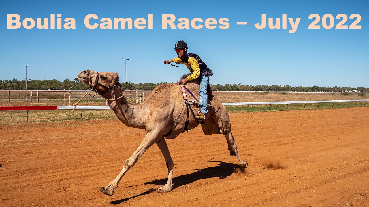 Boulia Camel Races – July 2022