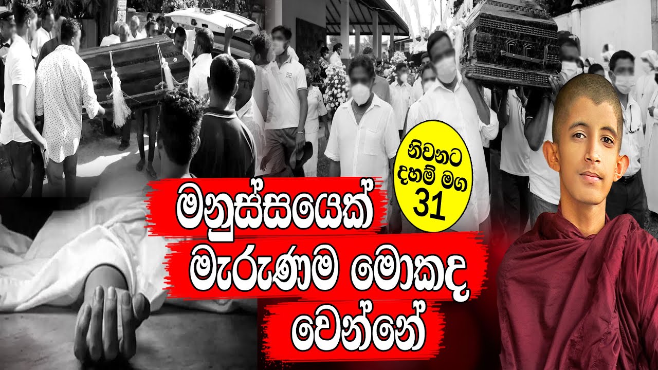 අපි නොසිතුවට මනුස්සයෙක් මැරුණම මොකද වෙන්නේ දන්නවද... (Part 31)  #helayeapi #gossip #niwana