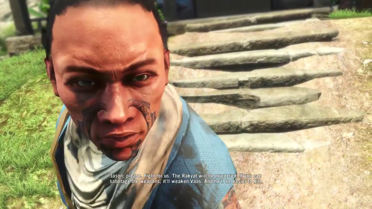 Far Cry 3 #2