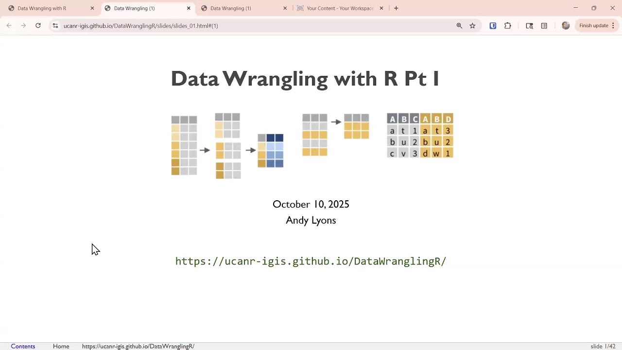 Data Wrangling with R Part I