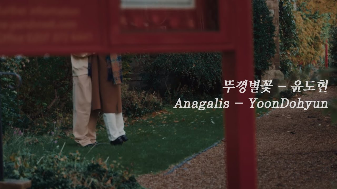 윤도현 - 뚜껑별꽃 Official Lyric Video