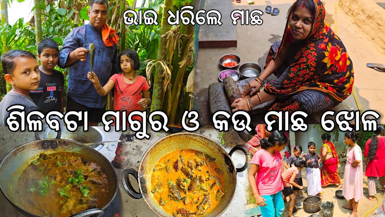 ଭାଇ ଧରିଲେ ମାଗୁର ଓ କଉ ମାଛ l ହେଲା ଶିଳବଟା ମାଛ ଝୋଳ l Gouranga Nayak Odia Vlogs