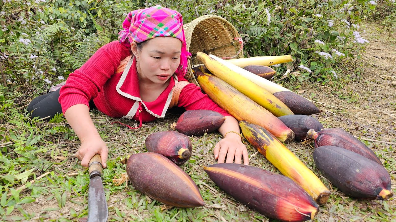 Harvest Banana Flowers to Sell at the Market - Prepare Banana Flower Salad to Eat | Trieu Mai Huong.