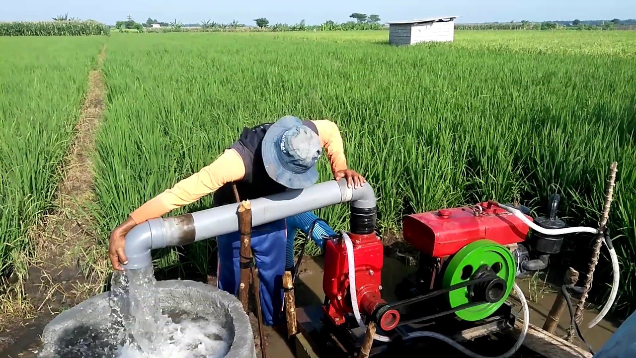 Tubewell pompa air diesel 12 pk vs ns 100, semburan mantaf