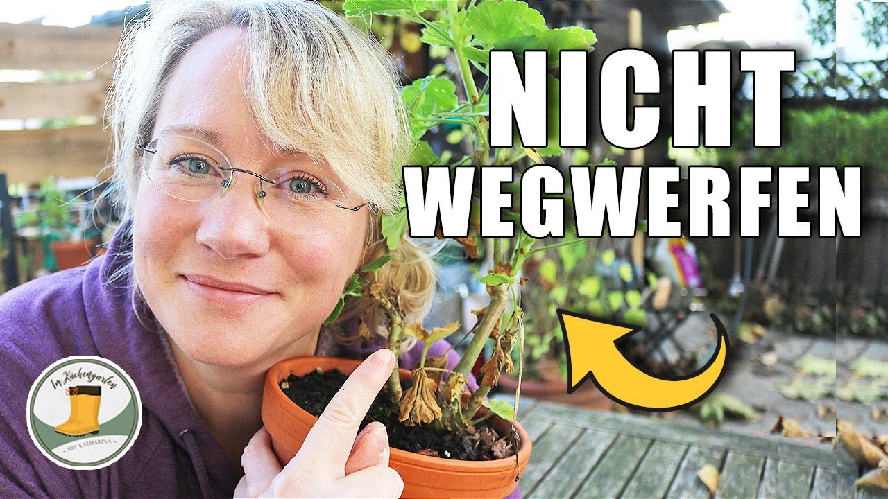 Nie mehr Geranien kaufen | 💡einfach überwintern | selbst vermehren | Raritäten sammeln | Geld sparen
