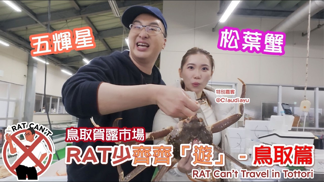 【RAT 少齊齊「遊」】日本鳥取稀有頂級 - 五輝星松葉蟹 🦀 | Tottori Japan - Ultra-Rare Premium Crab &mdash; Itsukiboshi Snow Crab 🦀