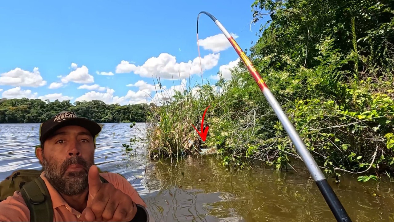 POR QUE ISSO ACONTESSE SEMPRE COMIGO!? MUITOS PEIXES PRETOS NESTA LAGOA.