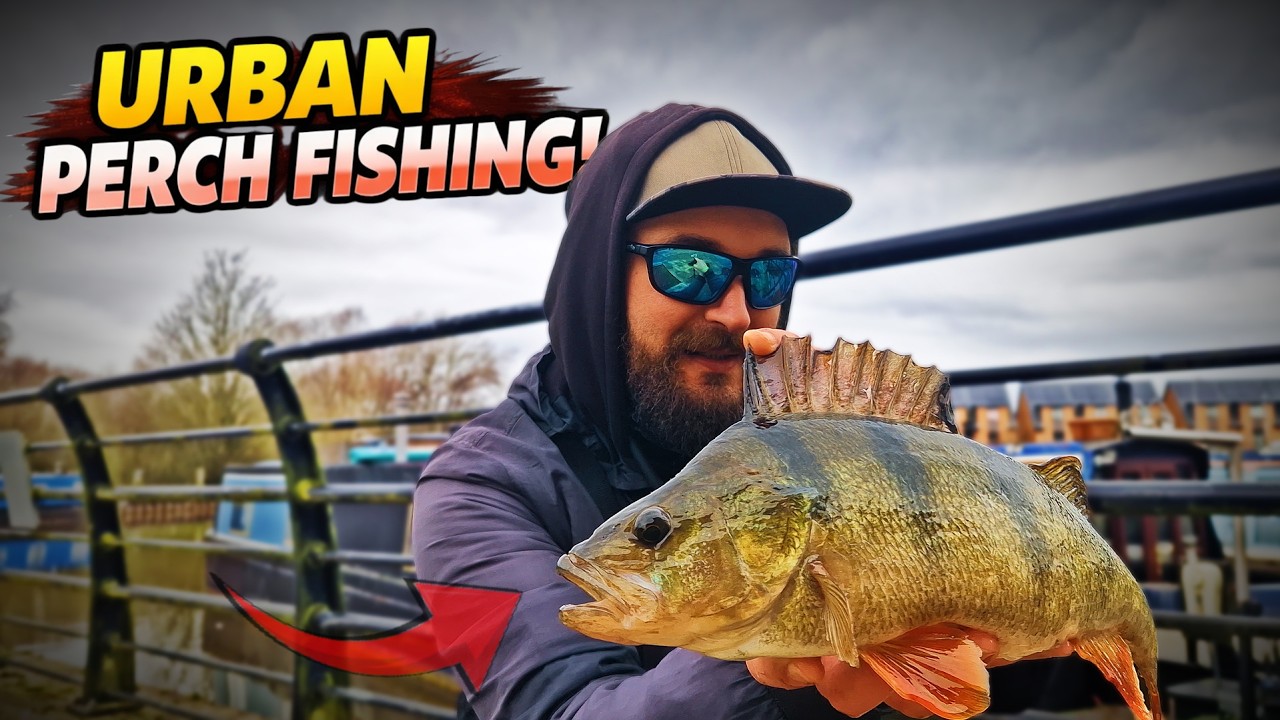 &pound;50 Ultra Light Combo for Urban Perch&hellip; First Bite Shocked Me!