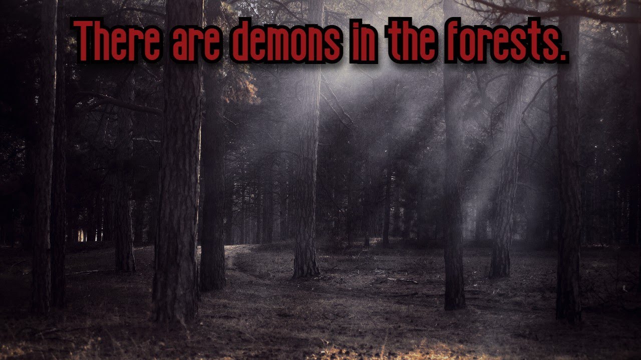 3 Real Stories of People Who Experienced Macabre Events in the Forest