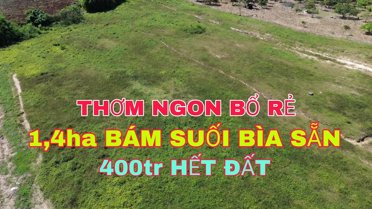 Bổ rẻ đây 1,4ha bám suối bìa sẵn giá 400tr hết đất 