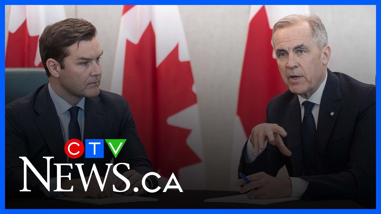 ‘It speaks to a lack of credibility’: Conservative strategist on Jeneroux ‘flip flopping’