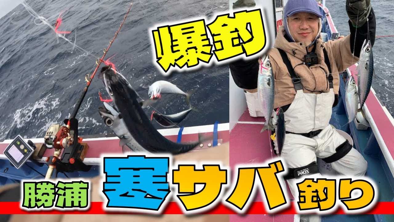 外房の「寒サバ」爆釣しました！