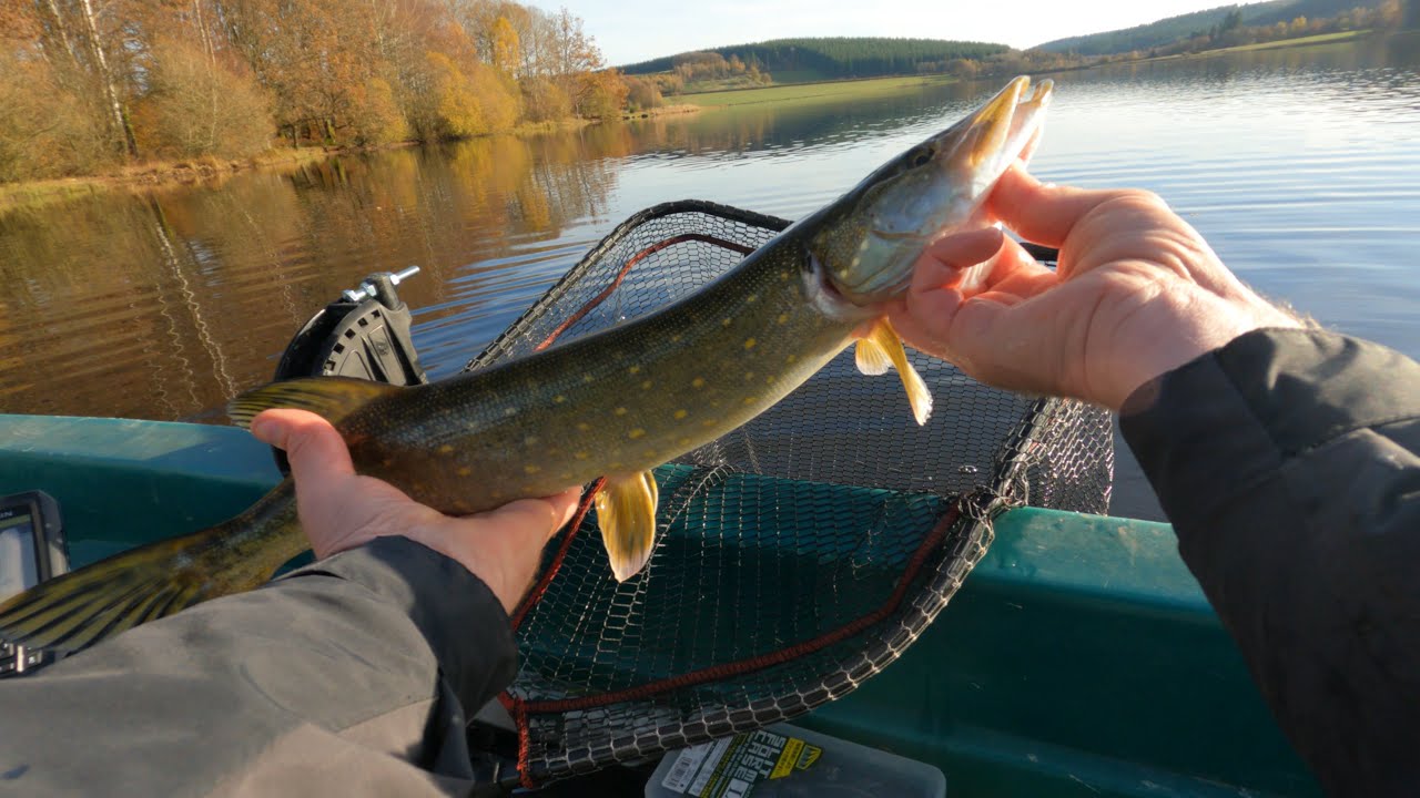 Pêche du brochet sur le Lac de Saint Agnan (58)