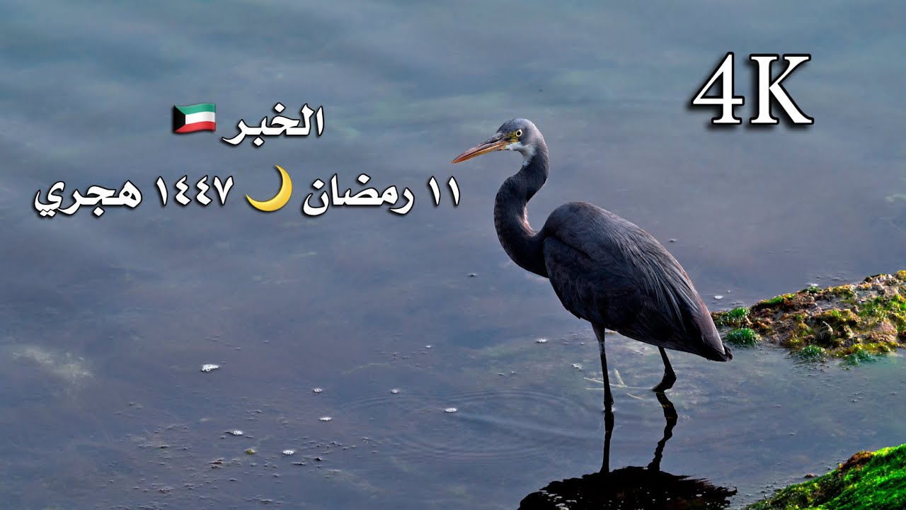 مدينة الخبر ١١ رمضان ١٤٤٧ هجري Al-Khobar City 11 Ramadan 1447 AH