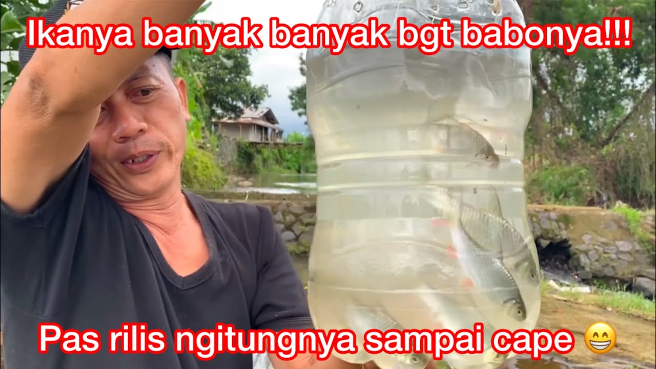 Ternyata Di Kali Ini Ikanya Banyak Sekali!!! Strike Berkali-kali Sampai Lupa Ngitungnya !!?