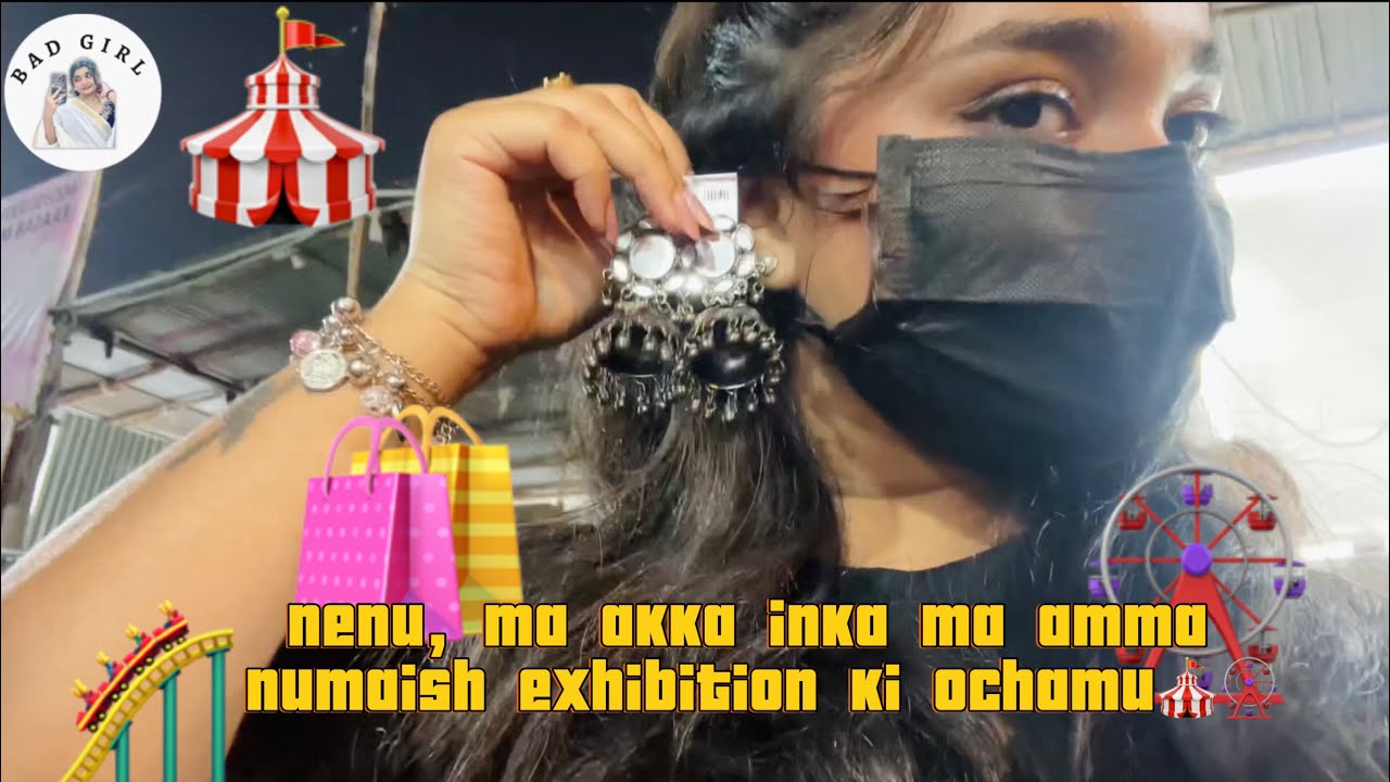 🎡Numaish 