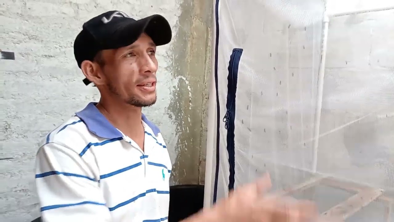 CRIA Y USO DE LARVA DE MOSCA SOLDADO NEGRO