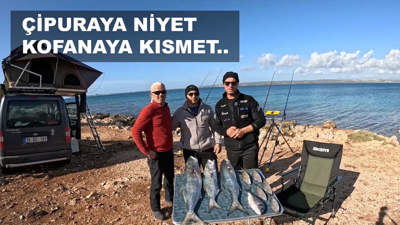 Çipuraya Niyet, Kofanaya Kısmet.. Oltadaki Çipuraları Kofanalar Kesince Bakın Neler Oldu..